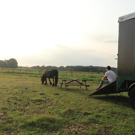 Luxussátor Slapen Tussen De Paarden