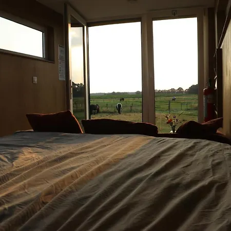 Slapen Tussen De Paarden Luxussátor Essen